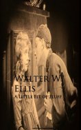 eBook: A Little Bit of Fluff