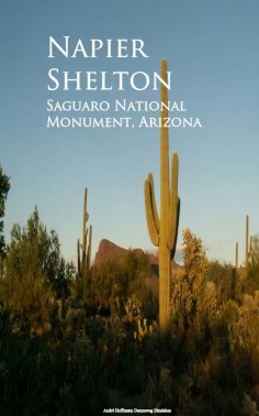 eBook: Saguaro National Monument, Arizona