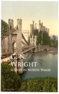 eBook: Scenes in North Wales