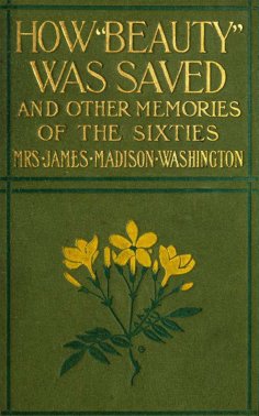 eBook: How Beauty Was Saved and Other Memories of the Sixties