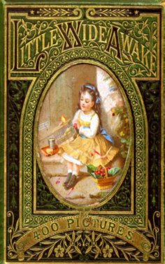 eBook: Little Wideawake - A story book for little children
