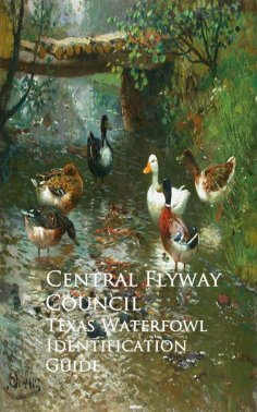 eBook: Texas Waterfowl Identification Guide