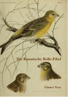 eBook: Die Kanarische Bolle-Fibel