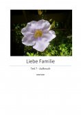 eBook: Liebe Familie 7