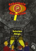 eBook: Geheimnisdetektive