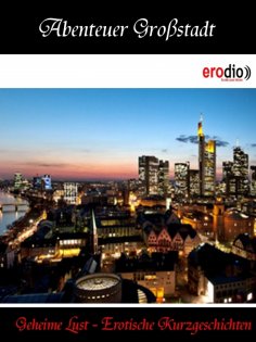 ebook: Abenteuer Großstadt