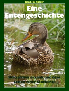 eBook: Eine Entengeschichte