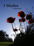 eBook: Drei Wochen