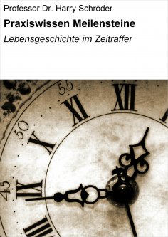 eBook: Praxiswissen Meilensteine