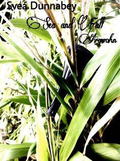 eBook: Sea and Fall