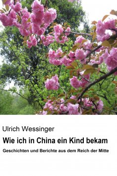 ebook: Wie ich in China ein Kind bekam