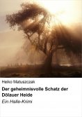 eBook: Der geheimnisvolle Schatz der Dölauer Heide