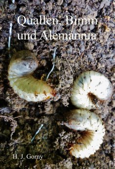 ebook: Quallen, Bimm und Alemannia