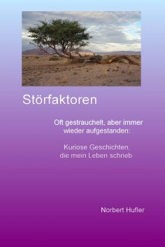 eBook: Störfaktoren