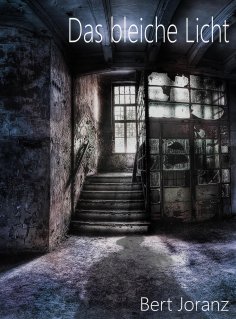 eBook: Das bleiche Licht