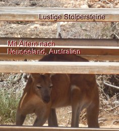 ebook: Lustige Stolpersteine