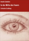 eBook: In der Mitte des Feuers