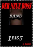 eBook: Der neue Boss; Band 1 bis 5