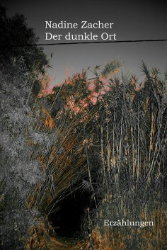 eBook: Der dunkle Ort