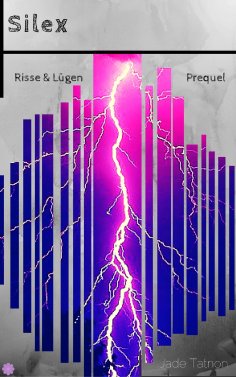 eBook: Silex - Risse & Lügen