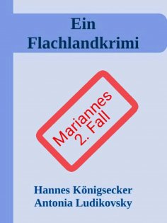 eBook: Ein Flachlandkrimi II