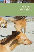 ebook: 2924 Hunde und 10 Tierheime : Roman