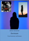 ebook: Zerrissen