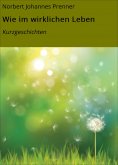 ebook: Wie im wirklichen Leben