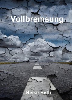 ebook: Vollbremsung