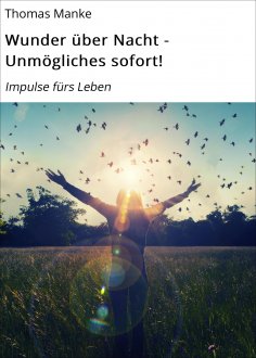 ebook: Wunder über Nacht - Unmögliches sofort!