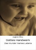 eBook: Gottes Handwerk
