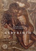 ebook: Labyrinth