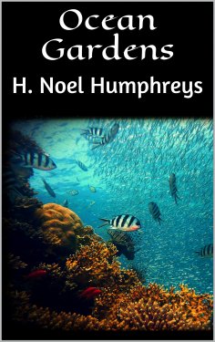 eBook: Ocean Gardens