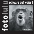 ebook: fotolulu schwarz auf weiss I