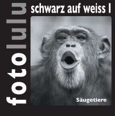 ebook: fotolulu schwarz auf weiss I