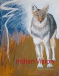 ebook: Indian Vision