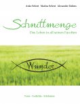 ebook: Schnittmenge Wunder
