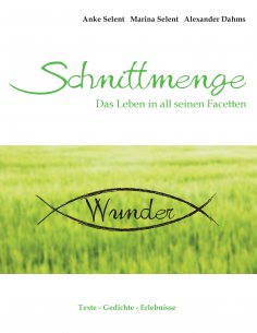 ebook: Schnittmenge Wunder