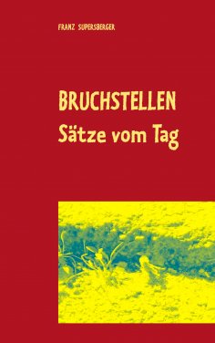 eBook: Bruchstellen