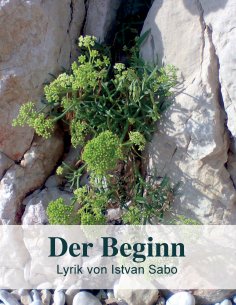 eBook: Der Beginn