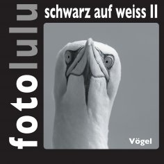 eBook: fotolulu schwarz auf weiss II