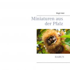 eBook: Miniaturen aus der Pfalz