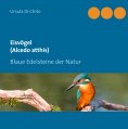 eBook: Eisvögel (Alcedo atthis)