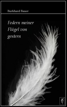 eBook: Federn meiner Flügel von gestern