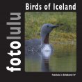 eBook: Birds of Iceland