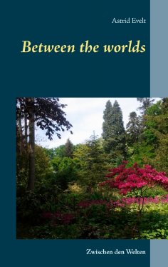 ebook: Between the worlds