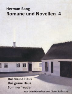 eBook: Romane und Novellen 4