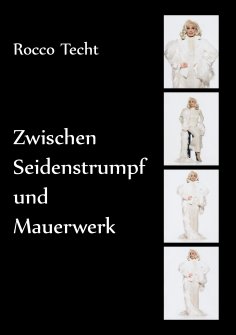 ebook: Zwischen Seidenstrumpf und Mauerwerk