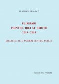 eBook: Plimbari printre idei si emotii 2013-2014
