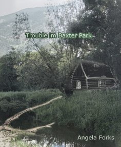 ebook: Trouble im Baxter Park